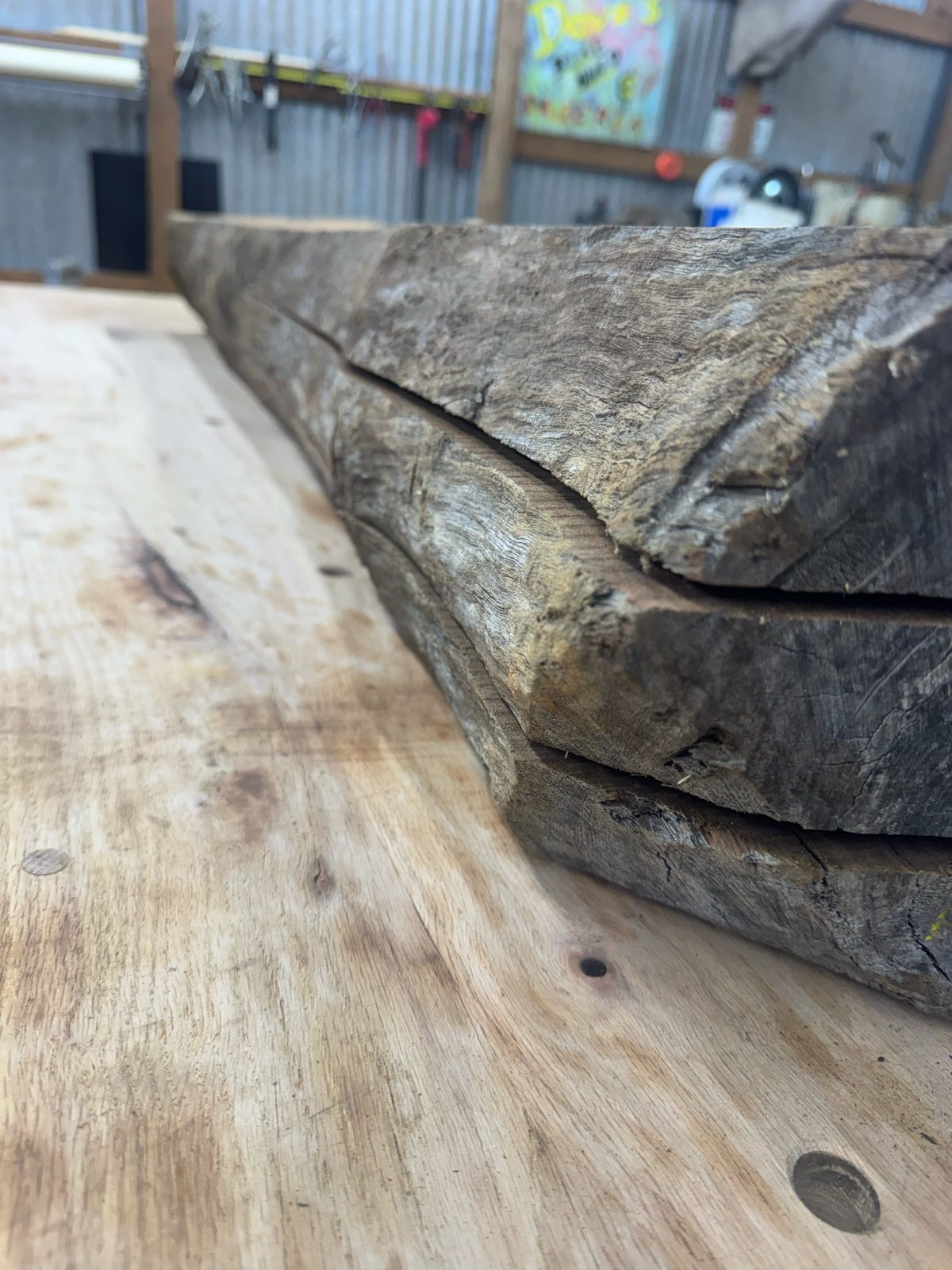 Black walnut three-way bookmatch, lot BW003